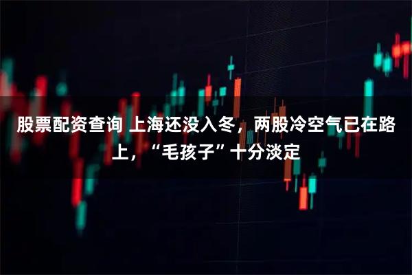 股票配资查询 上海还没入冬，两股冷空气已在路上，“毛孩子”十分淡定