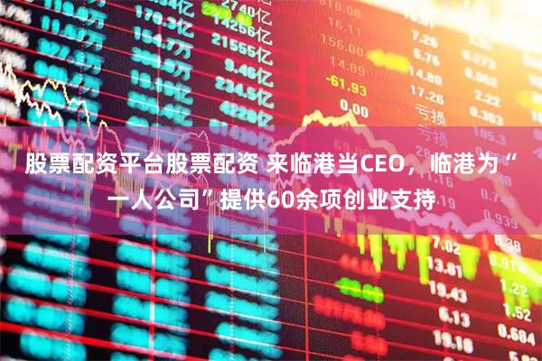 股票配资平台股票配资 来临港当CEO，临港为“一人公司”提供60余项创业支持